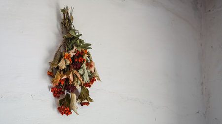 Traditional plants tied and dried indoors in a Ukrainian village houseの写真素材