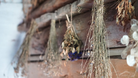 Natural herbs hanging to dry in a rustic Ukrainian wooden house interior.の写真素材