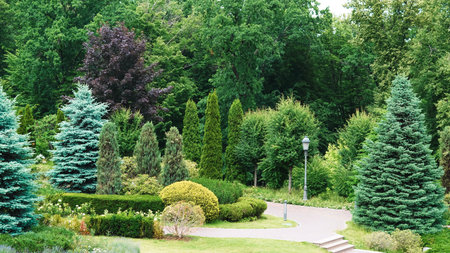 Elegant park alley with trimmed bushes and vintage style streetlampsの写真素材
