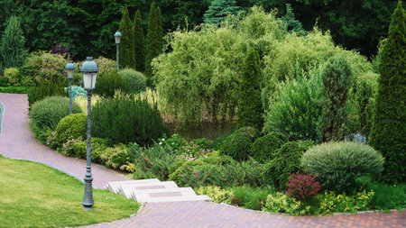 Elegant park alley with trimmed bushes and vintage style streetlampsの写真素材