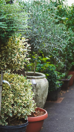 Green plant arch decorates garden cafe with natural style and cozy atmosphere.