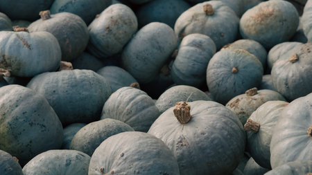 halloween farm with pumpkins decorations and autumn rustic atmosphere.