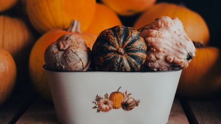 rustic pumpkin arrangement symbolizing autumn harvest and thanksgiving.の写真素材