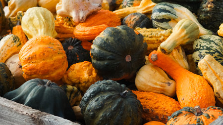 autumn pumpkins background with seasonal farm harvest decorationsの写真素材