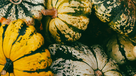 autumn pumpkins background with seasonal farm harvest decorationsの写真素材