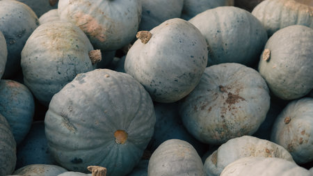 halloween farm with pumpkins decorations and autumn rustic atmosphere.の写真素材