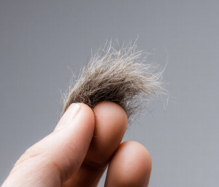 Hair fragility concept focusing on cosmetic damage and repeated treatments.の素材