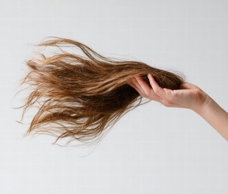 Hair fragility concept focusing on cosmetic damage and repeated treatments.の素材