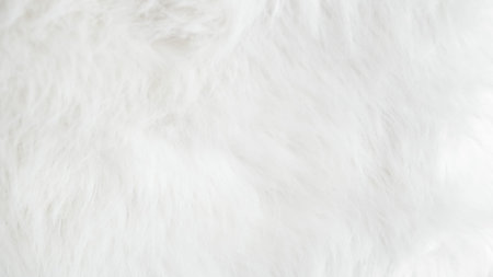 Close-up of a soft white fur texture suitable for design or textile projects