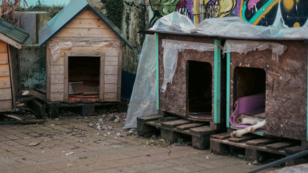 Two wooden dog houses with open entrances in an outdoor space featuring graffiti and debrisの写真素材