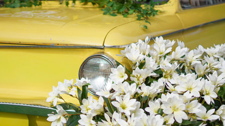 Close-up of a vintage yellow car with white flowers and green leaves decorating the front