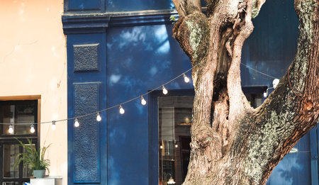 A large tree with textured bark stands beside a blue building adorned with string lights