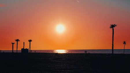 Silhouetted palm trees against a vibrant sunset over the ocean at the beach