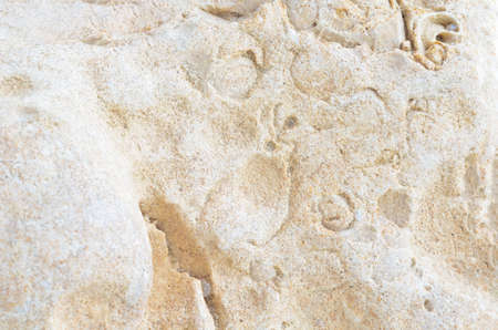 Relief rough stone texture, stones texture and backgroundの写真素材