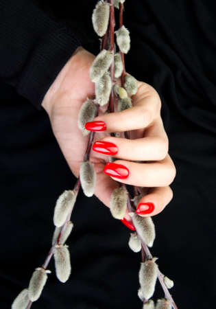 A womans hand with a red manicure on a black backgroundの写真素材