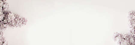 Purple-lilac lilac flowers close-up. Bannerの写真素材