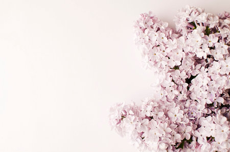 Purple-lilac lilac flowers on a light background. Natural background