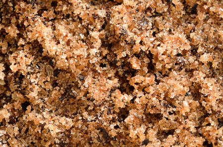 Coffee scrub texture close-upの写真素材