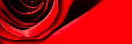 A rosebud on a rad background. Bannerの写真素材