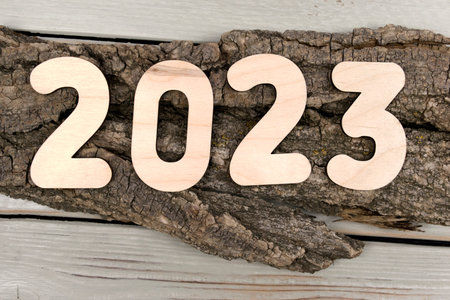 Wooden Christmas decorations on a natural background. Year 2023の写真素材