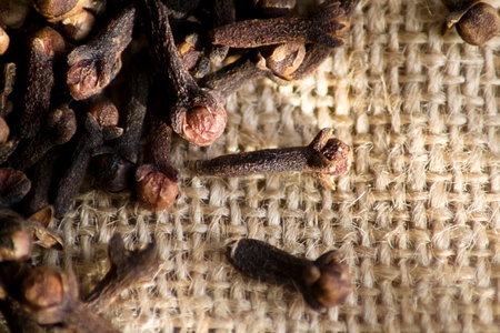 The spice of dried cloves lies scattered on the burlap. Close-up.の写真素材