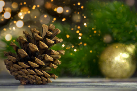 A cone on the background of a green fir branchの写真素材