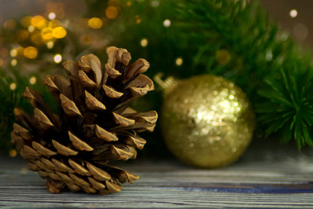 A cone on the background of a green fir branch