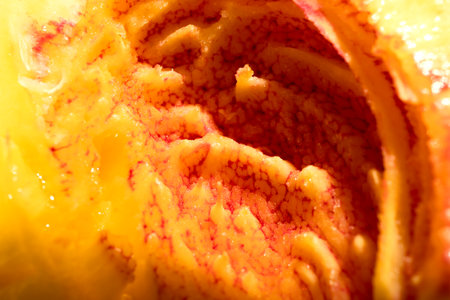 Peach pulp close-upの写真素材