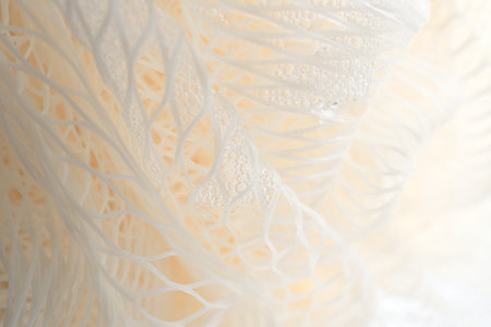 Texture of a nylon washcloth with shower gel close-upの写真素材