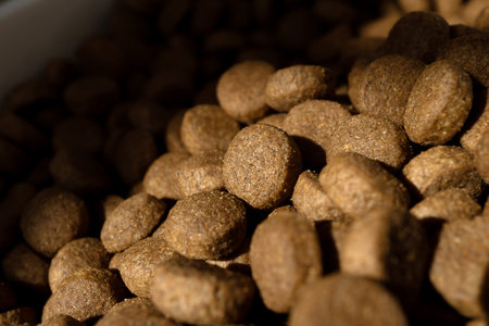 Dry pet food in storage container
