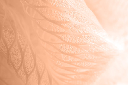 Texture of a nylon washcloth with shower gel close-up. Color peach fuzz