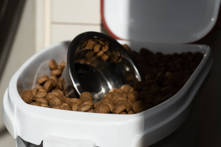 Dry food and metal pet bowl in storage containerの写真素材