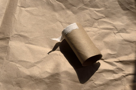 Used empty toilet paper rolls on a brown background.の写真素材