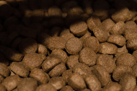 Dry food and metal pet bowl in storage containerの写真素材