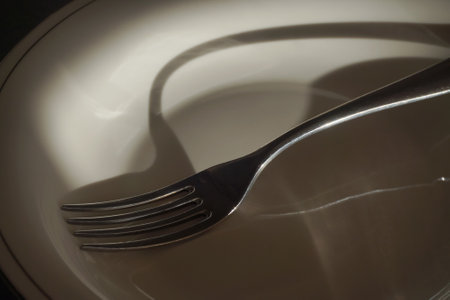 The fork lies on a white plate, reflecting harsh shadows. Soft focusの写真素材