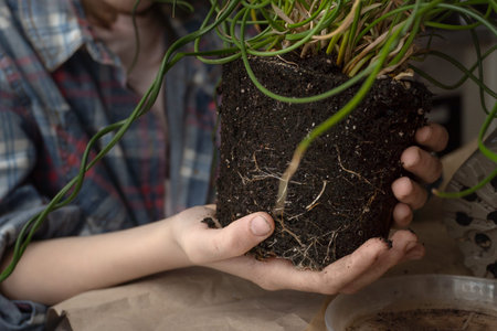 The girl is holding a clod of earth with a flower in her hands. Transplanting, plant care