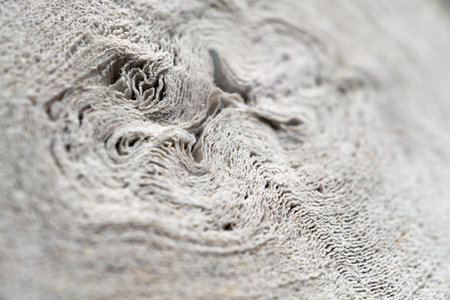 roll of gray cheap toilet paper. Close-up of textureの写真素材