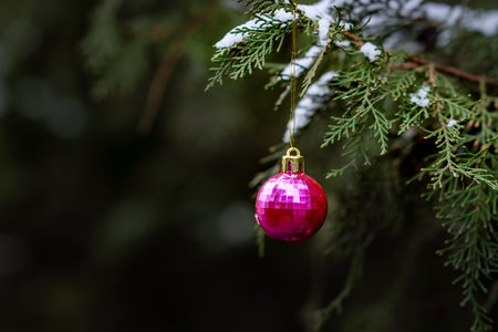 pink Christmas balls hanging on snow-covered thuja branches.の写真素材