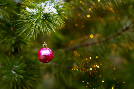 Pink Christmas balls hanging on snow-covered pine trees branches. Christmas card with snow and golden bokehの写真素材