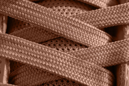 A fragment of sneaker with copy space in mocha color. Close-up