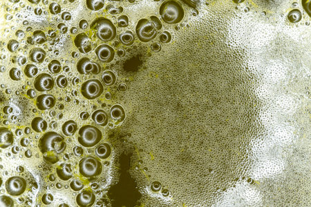 green juice foam bubbles. Close-up, top view