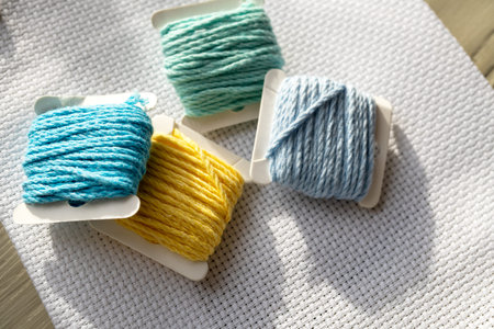 a set of embroidery threads on a white canvas