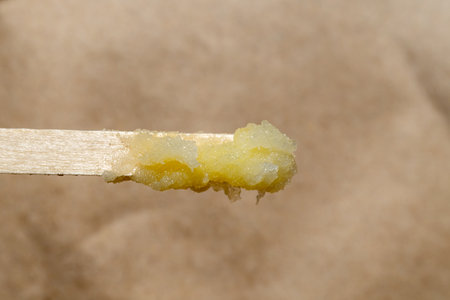 Wooden stick with homemade cream for skin nutrition. Cosmetic product for face or body on a wooden stickの写真素材