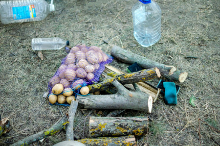 Camp kitchen on the ground there is a sponge for washing dishes, a bag of potatoes, firewood and water for cookingの写真素材