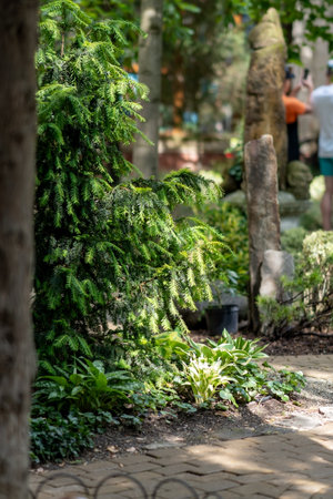 A lush garden path winds beneath vibrant green arches, creating a tranquil, natural scene.の写真素材