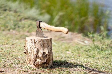 A stump with an axe in a forest on the shore of a lake. Travelers camp, terrain preparationの写真素材