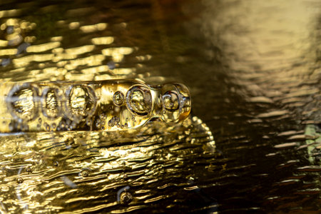 Glass pipette with facial serum on gold background. Essential oil close-up in a pipette. A skin care product with hyaluronic acid in a pipette.の写真素材