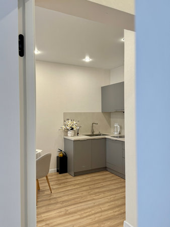 new stylish kitchen set in a modern apartment interior. High quality photoの写真素材