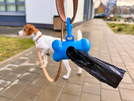 Pet Excrement Bags on a Leash. High quality photoの写真素材