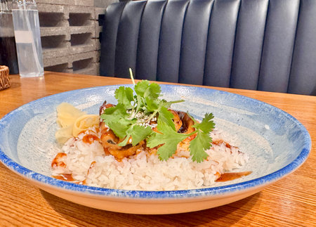 Juicy eel on rice in sweet and sour sauce in a restaurant. High quality photoの写真素材